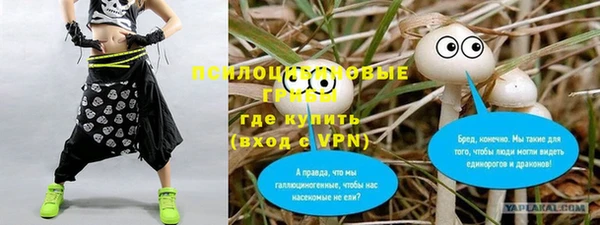 ALPHA PVP Бугульма