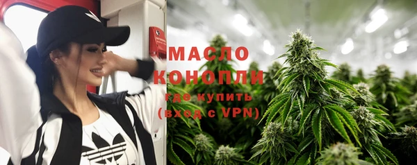 mdpv Бородино