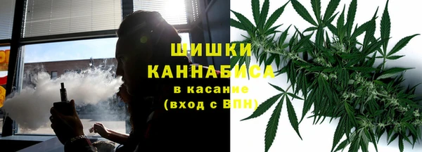 mdpv Бородино